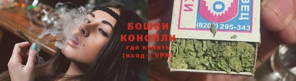 стаф Пересвет